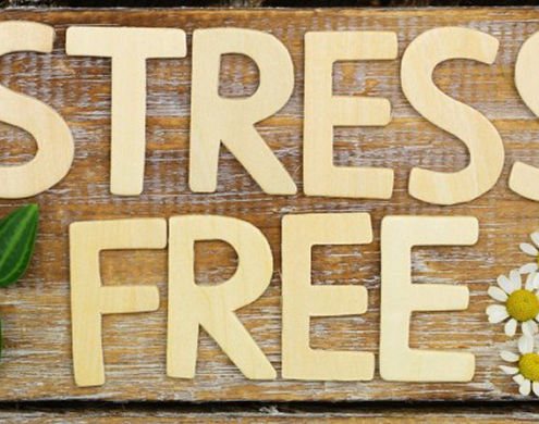 Stress Free Sign